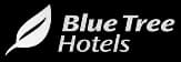Logo Blue Tree Hotels